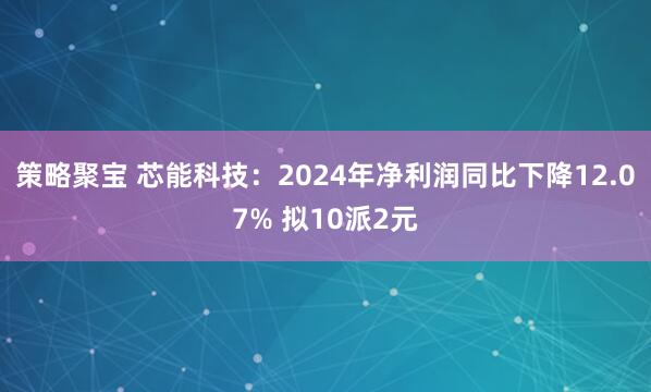 策略聚宝 芯能科技：2024年净利润同比下降12.07% 拟10派2元