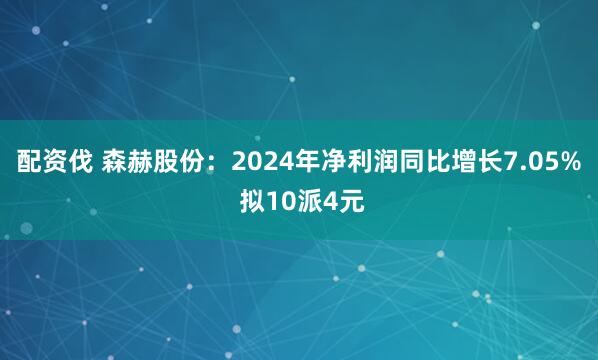 配资伐 森赫股份：2024年净利润同比增长7.05% 拟10派4元