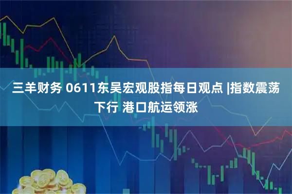 三羊财务 0611东吴宏观股指每日观点 |指数震荡下行 港口航运领涨