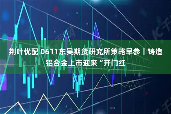 荆叶优配 0611东吴期货研究所策略早参｜铸造铝合金上市迎来“开门红