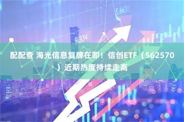 配配查 海光信息复牌在即！信创ETF（562570）近期热度持续走高