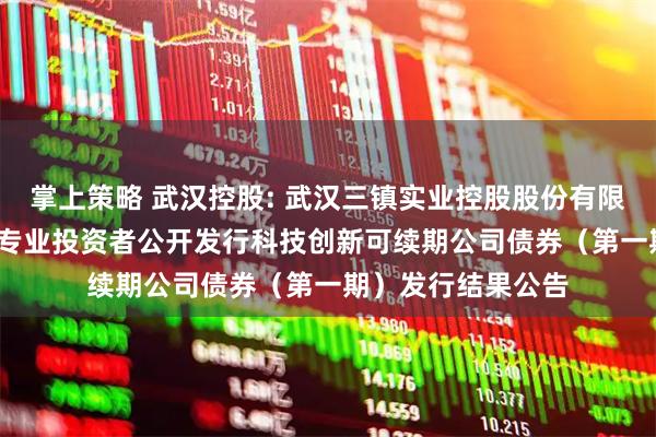 掌上策略 武汉控股: 武汉三镇实业控股股份有限公司2025年面向专业投资者公开发行科技创新可续期公司债券（第一期）发行结果公告