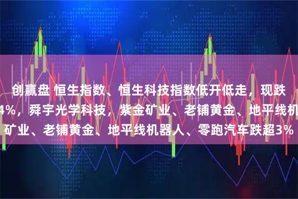 创赢盘 恒生指数、恒生科技指数低开低走，现跌超1%，药明生物跌超4%，舜宇光学科技，紫金矿业、老铺黄金、地平线机器人、零跑汽车跌超3%